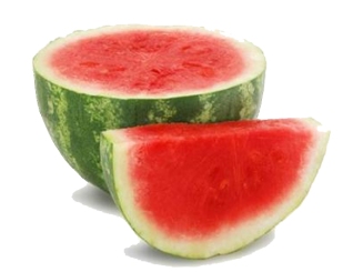 watermelon-for-food-for-thought-copy-copy copy