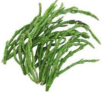 samphire for thought