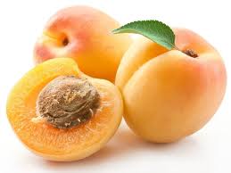 APRICOT FOR THOUGHT